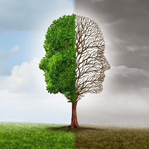 Fracasso e Sucesso: dois lados da mesma moeda